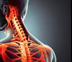 写真　首・頚椎から肩 2 (232x199)