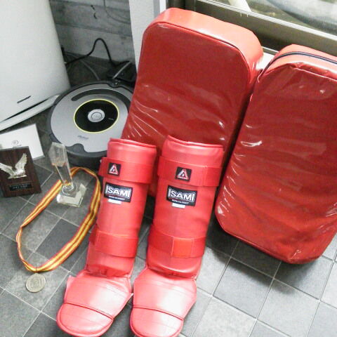 写真　ミット・レガース　(480x480)