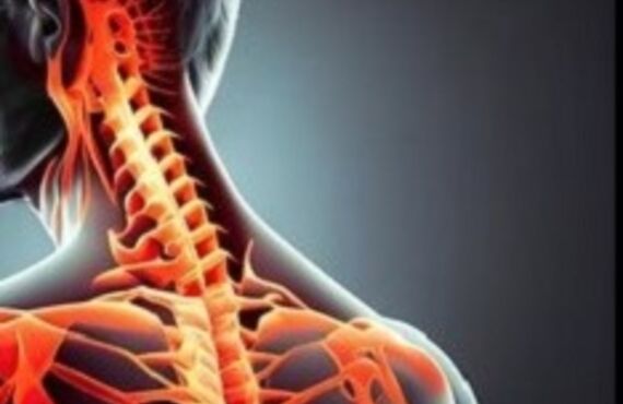 首・頸椎の神経 ～ 首 肩 背中など上半身の不調を！ 続編 ～ ボディケア・メンテナンス/整体　鎌倉市大船駅近 Fiziks