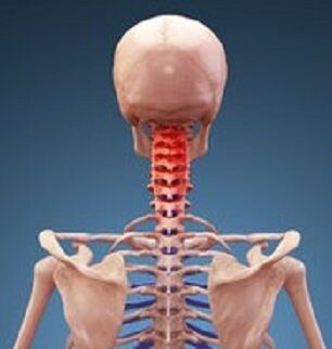 写真 首・頚椎 7 -編集済 (306x322)拡大175%に