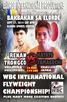 写真 ハヤト 2014 フィリピン (220x332)　t02200332_0637096013036372824