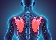 写真 肩甲骨・背中　１ -(236x168) 縮小70%に