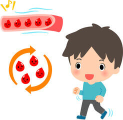 写真　血行・血流の促進  1 (246x240)