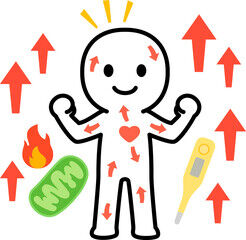 写真　血行・血流・代謝 1 (246x240)