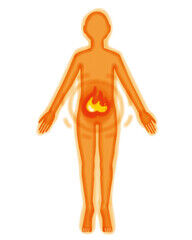 写真 血行・血流・代謝 骨盤から 1 (192x240)